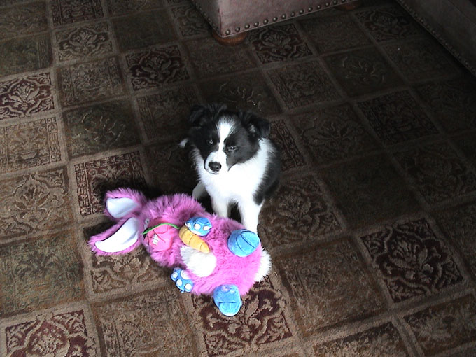 Annie With Mr. Bunny