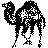 Perl Logo